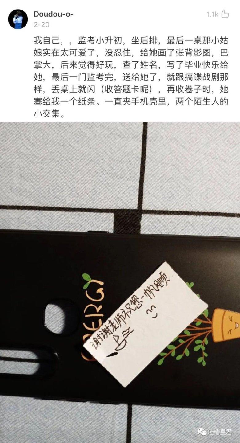 救援可爱小猪仔