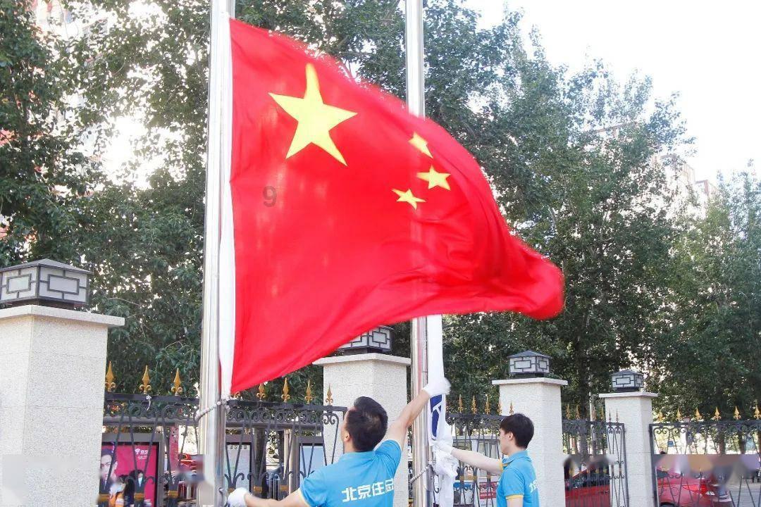 解救可爱的鸭子