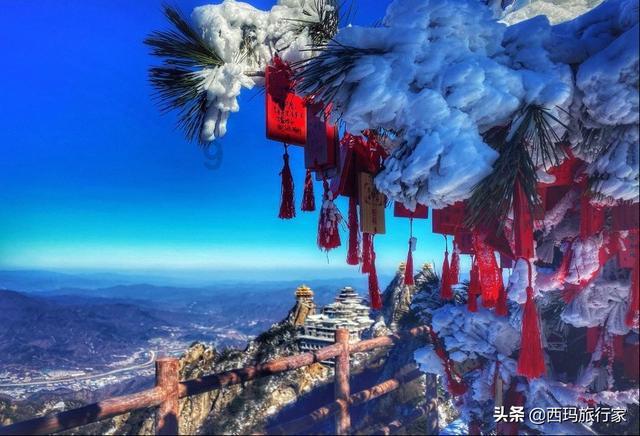 能猜出多少个字?——互联网上的热门社区平台